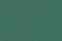 Jupiterkarton grün